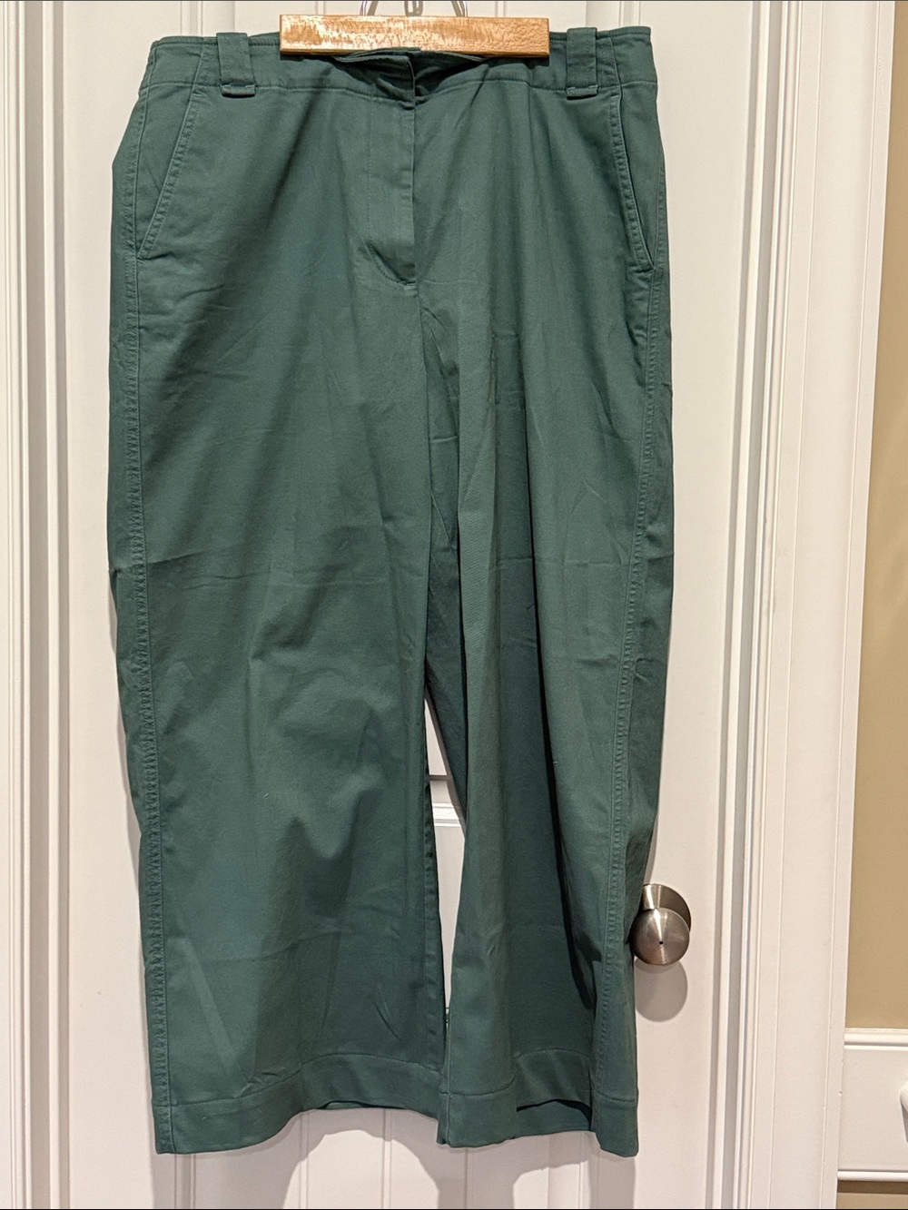JCrew wide legged Chinos (Light Forest green)